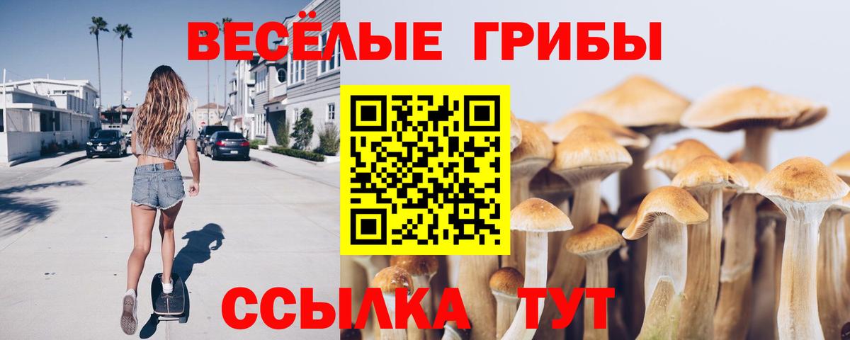 Галлюциногенные грибы мухоморы  Вход с VPN  Кубинка 