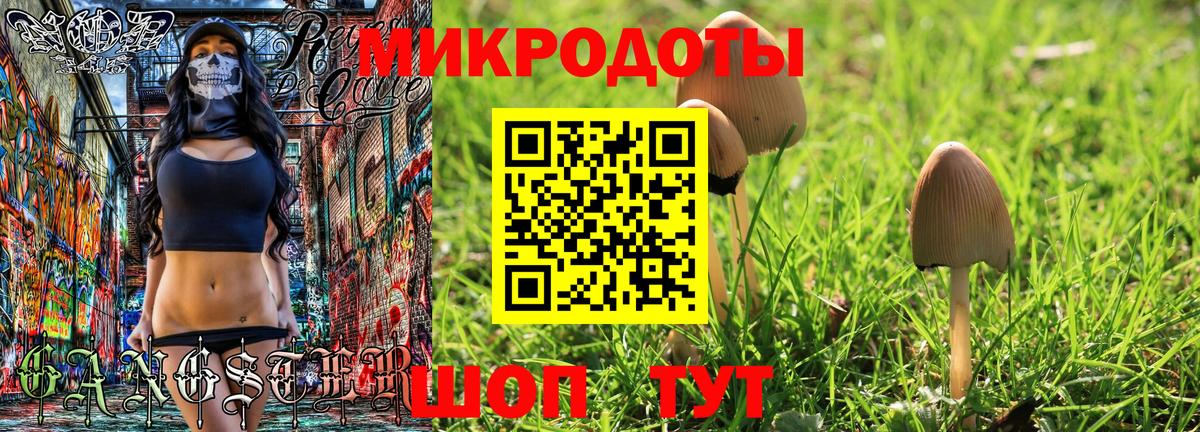 Псилоцибиновые грибы MAGIC MUSHROOMS Кубинка